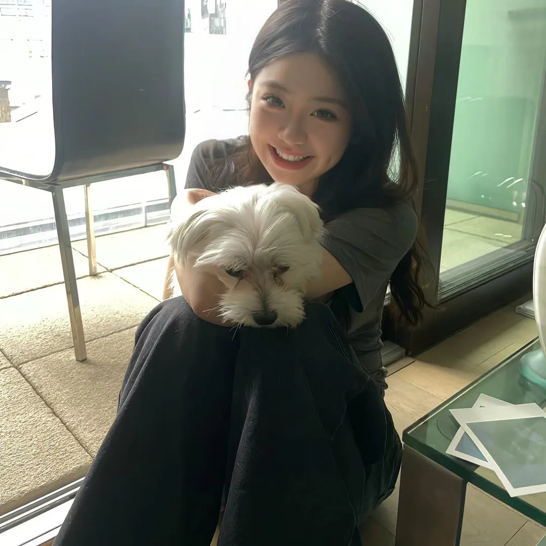 乘风破浪的姐姐短剧